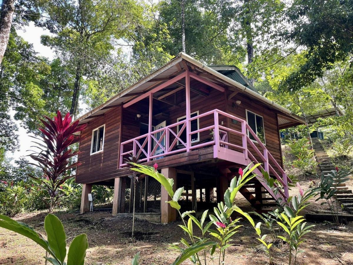 Akwaba Lodge The Gap Bagian luar foto