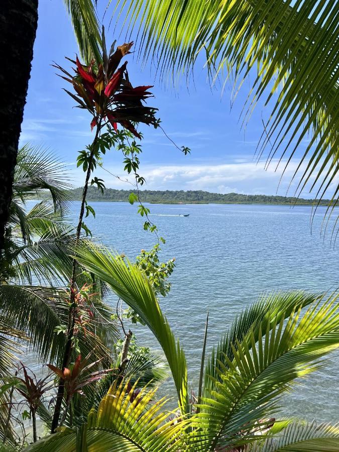 Akwaba Lodge The Gap Bagian luar foto