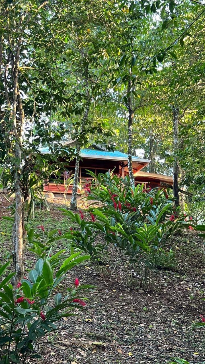 Akwaba Lodge The Gap Ruang foto